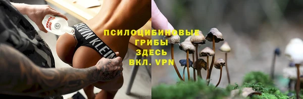 скорость mdpv Белокуриха