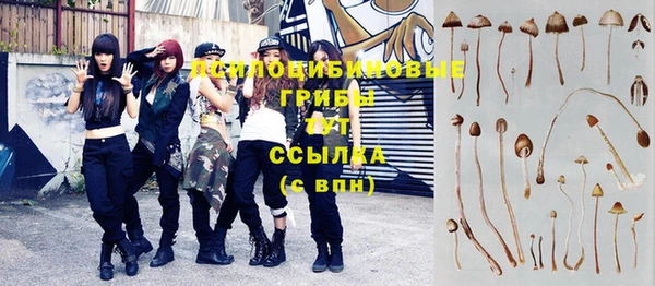 гидропоника Белоозёрский