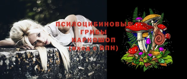 гидропоника Белоозёрский