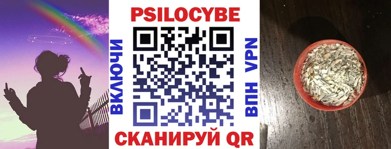 купить   hydra как зайти  Галлюциногенные грибы Psilocybine cubensis  Кстово 