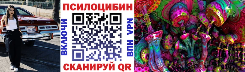 Галлюциногенные грибы Psilocybe Кстово